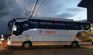 Bus Perintis